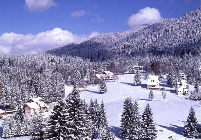 Poiana Brasov, Aparthotel 609,Alpin Dış mekan fotoğraf